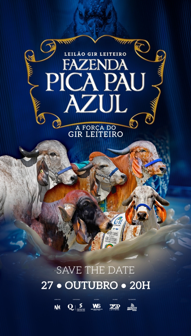 Leilão Gir Leiteiro Pica Pau Azul