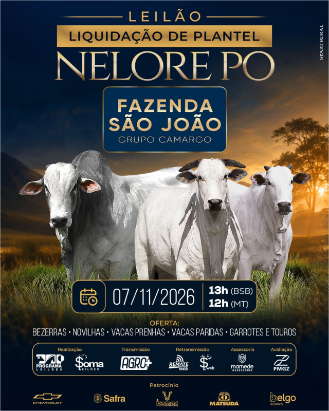 Leilão Liquidação Fazenda São João - Grupo Camargo