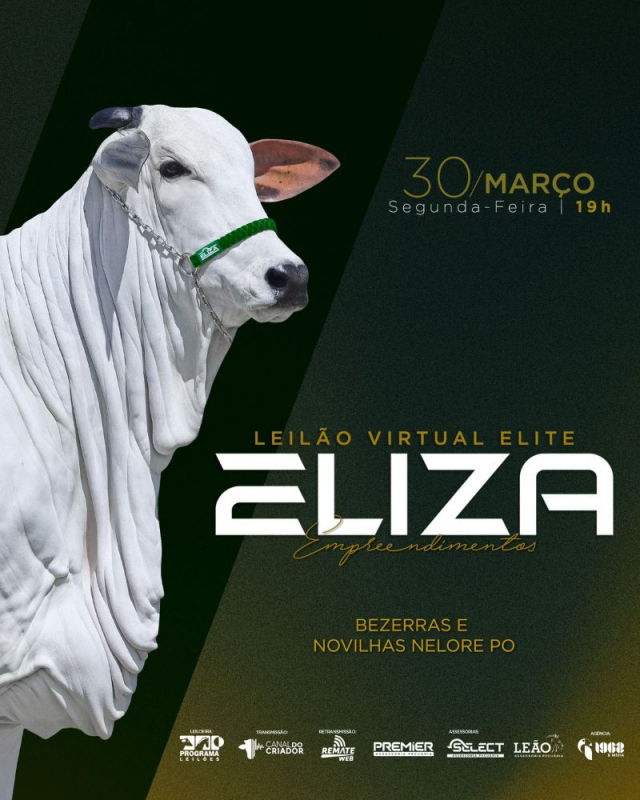 Leilão Virtual Elite Nelore Eliza Empreendimentos