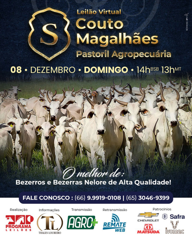 Leilão Virtual Agropastoril Couto Magalhães