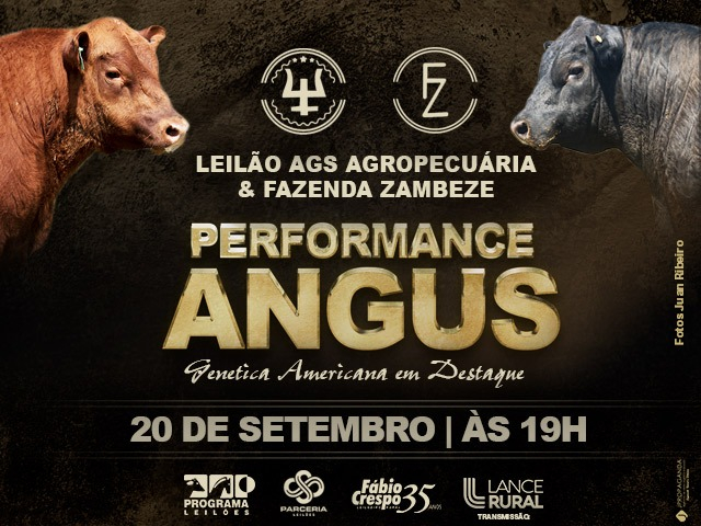 Leilão Performance Angus - Ags Agropecuária & Fazenda Zambene