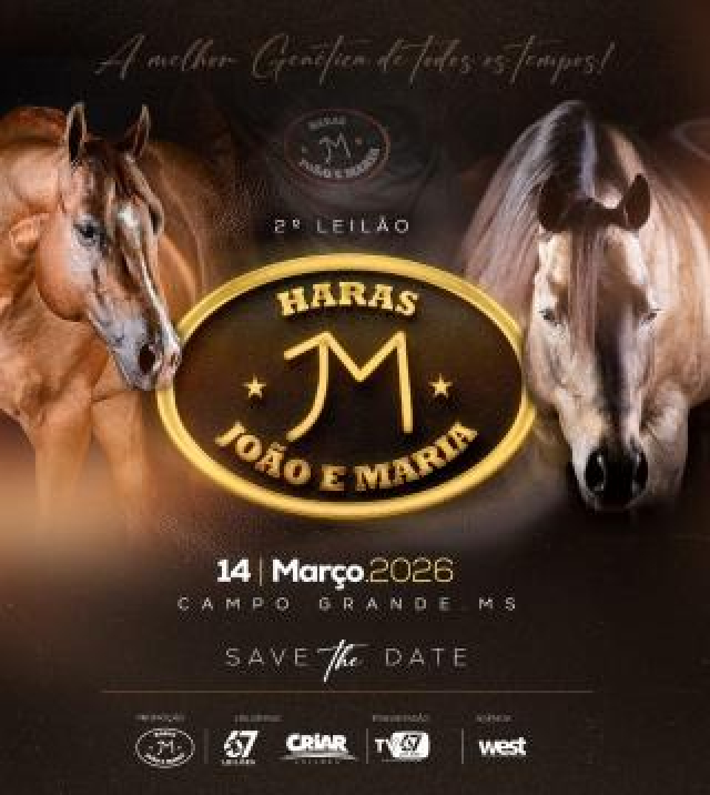 2° Haras João e Maria