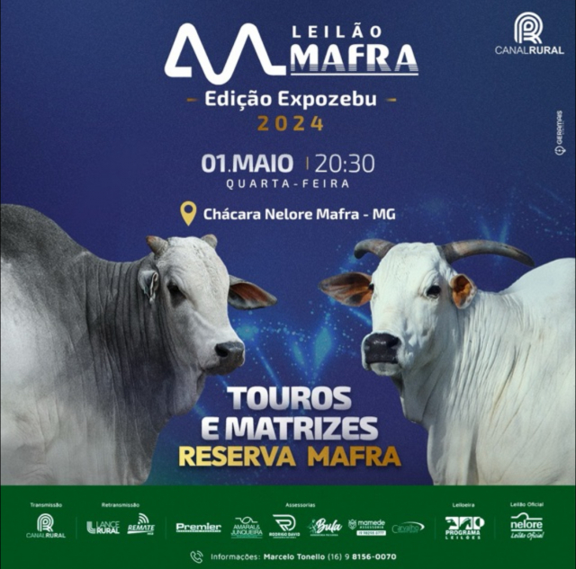 Leilão Mafra - Touros e Matrizes Expozebu 2024