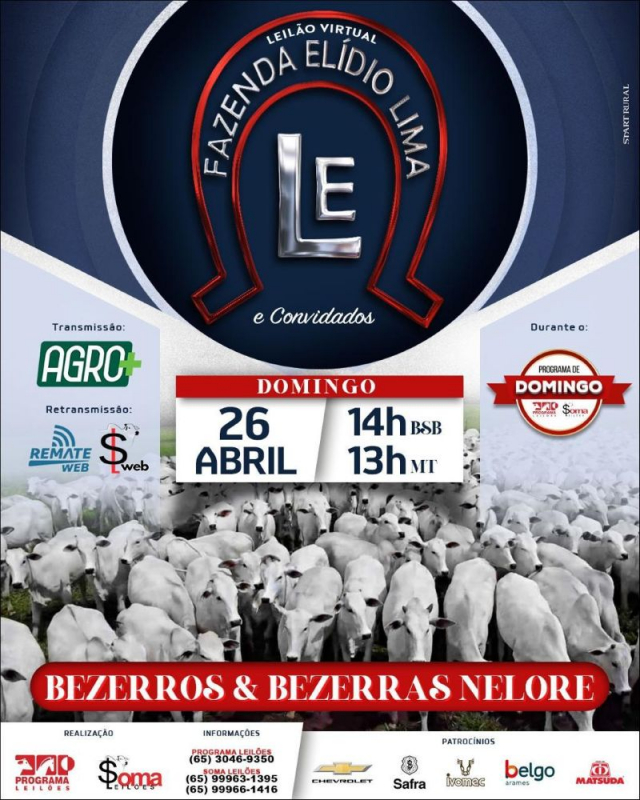 Leilão Fazenda Elidio Lima - 150° Programa de Domingo