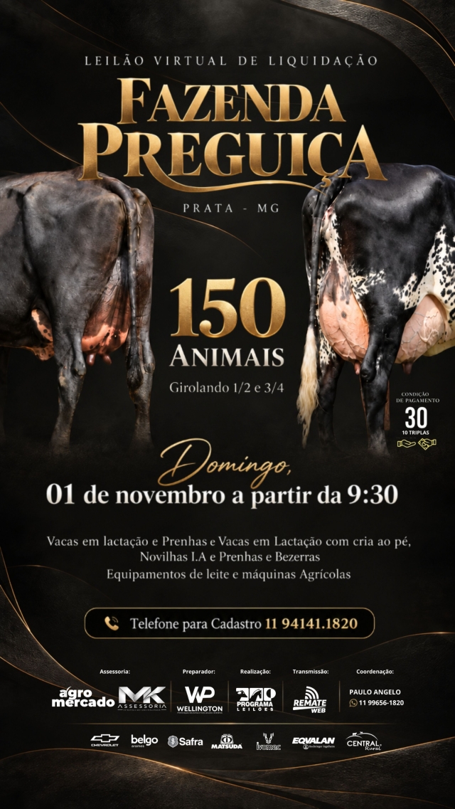 Leilão Virtual de Liquidação Fazenda Preguiça
