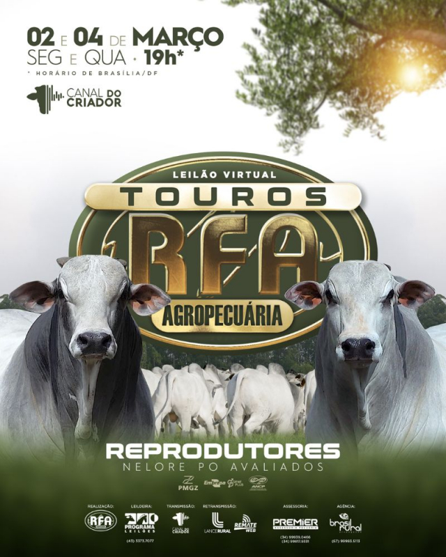 Leilão Virtual  Touros RFA Agropecuária - Reprodutores.