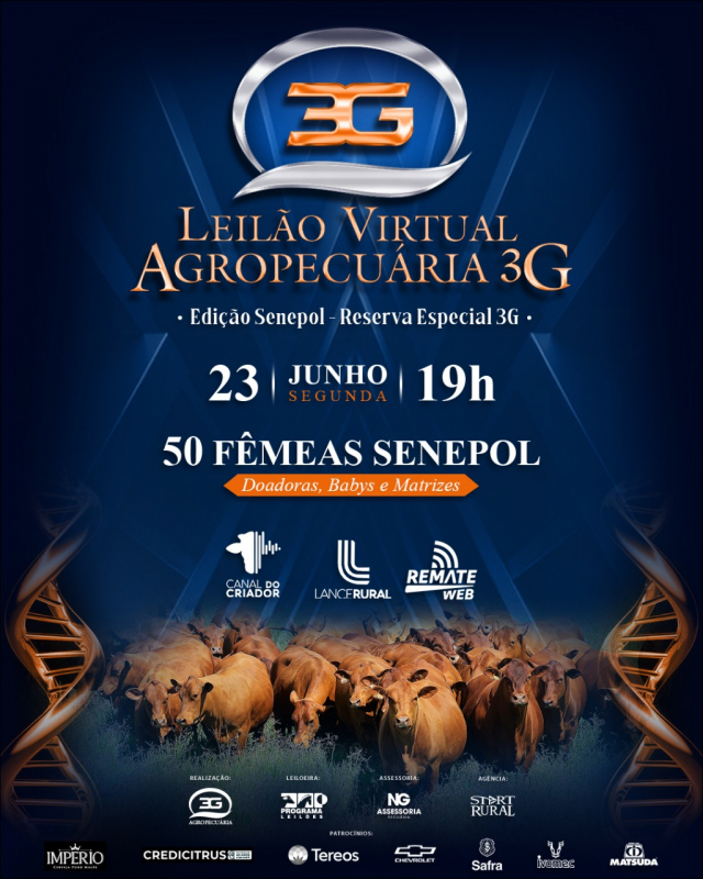 Leilão Virtual Agropecuária 3G - Edição Fêmeas Senepol