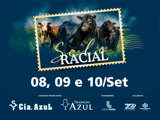 Leilão Virtual Selo Racial - 1º Etapa