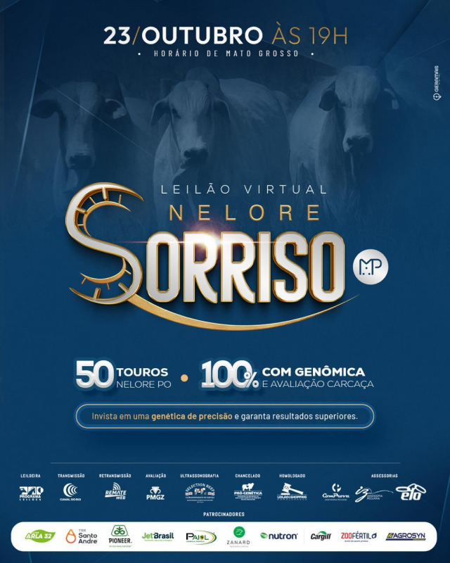 Leilão Virtual Nelore Sorriso - Touros