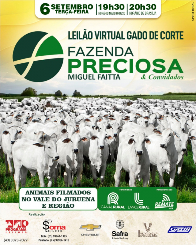 Leilão Virtual Gado de Corte Fazenda Preciosa & Convidados