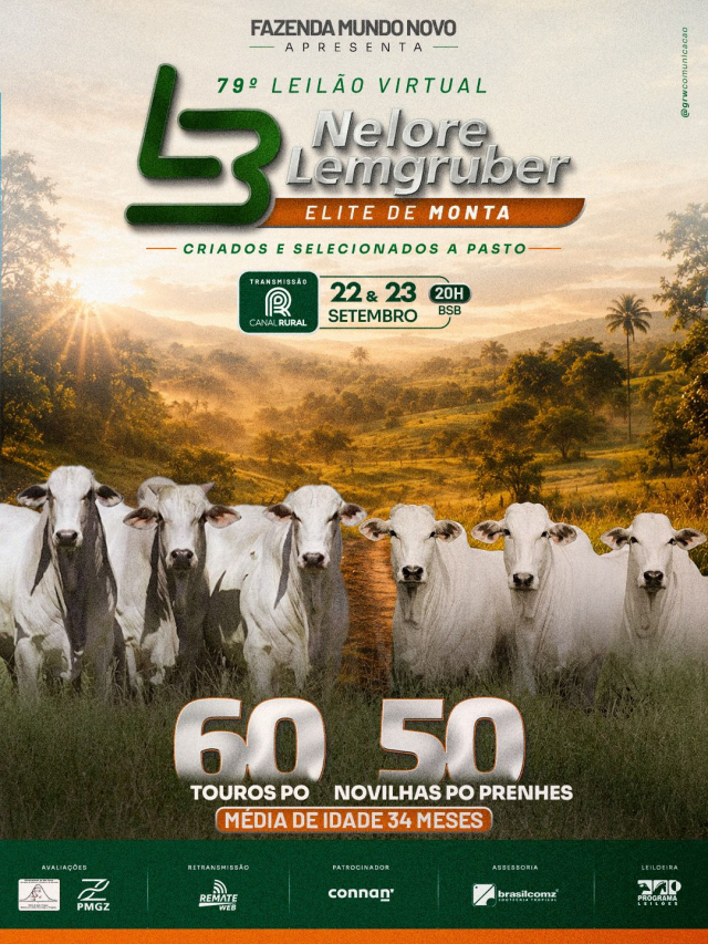 79º Leilão Virtual Nelore Lemgruber - Touros