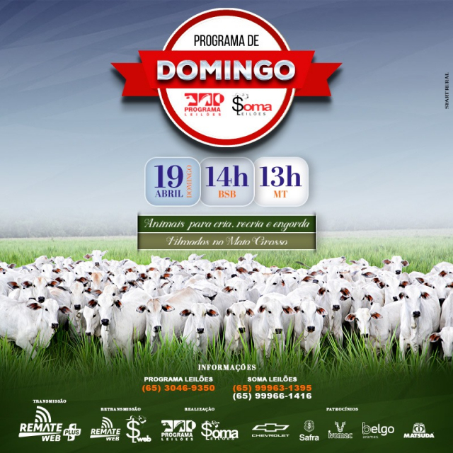 149° Programa de Domingo - Programa e Soma Leilões