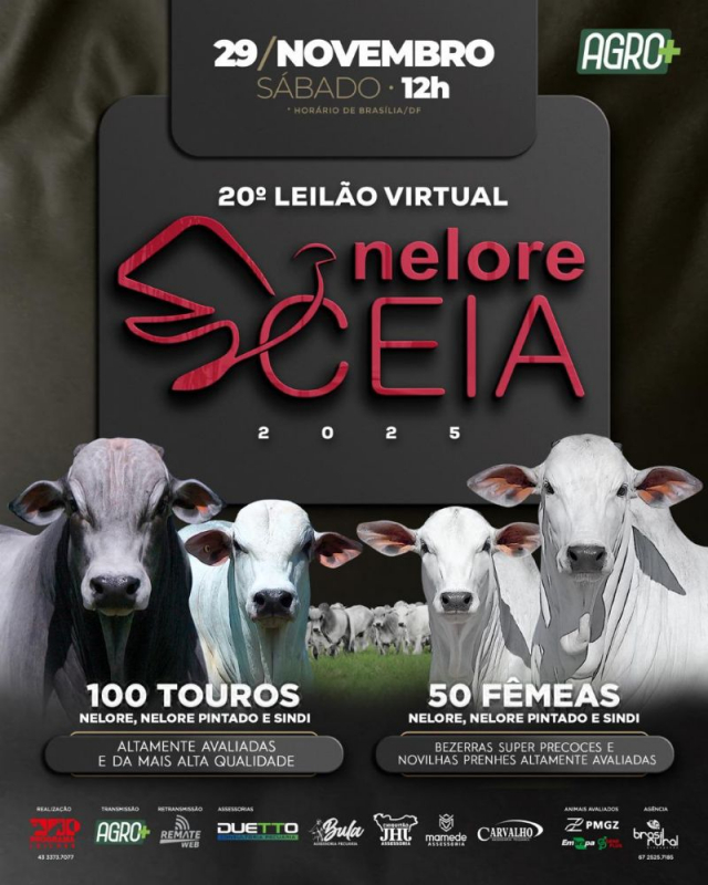 20º Leilão Virtual Nelore Ceia - 2025