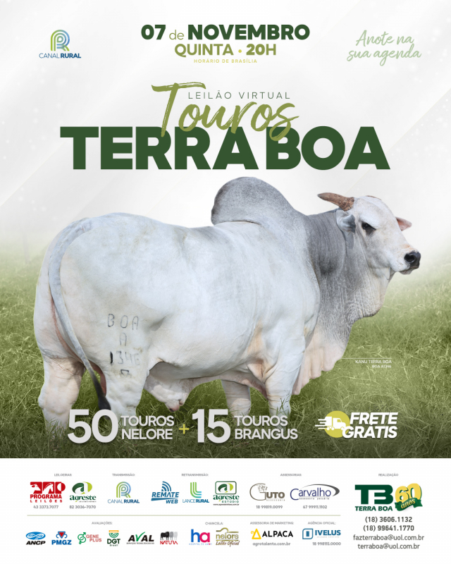 Leilão Virtual Touros Terra Boa