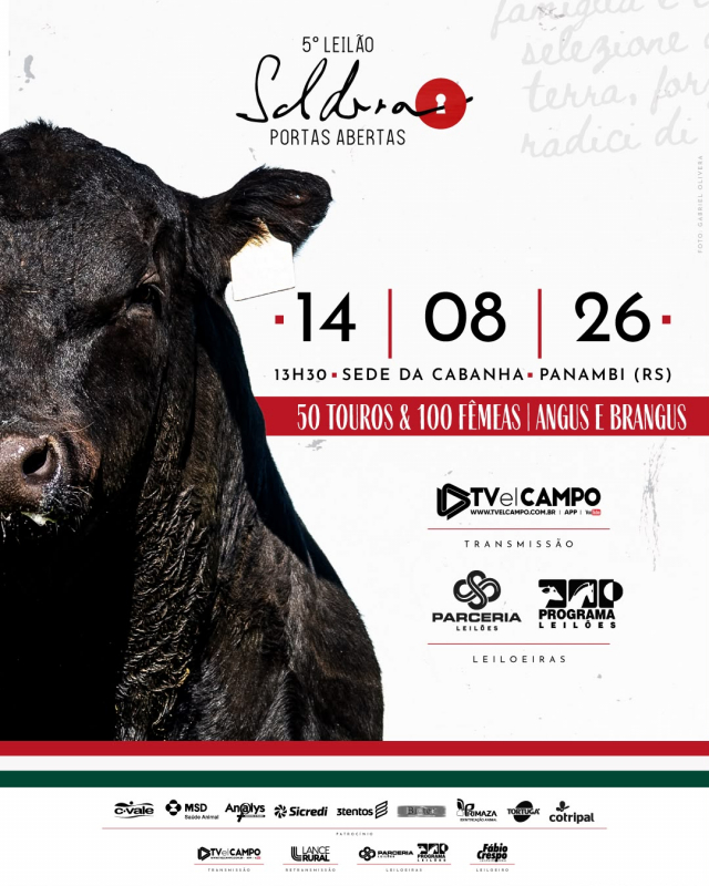 5° Leilão Soldera Portas Abertas