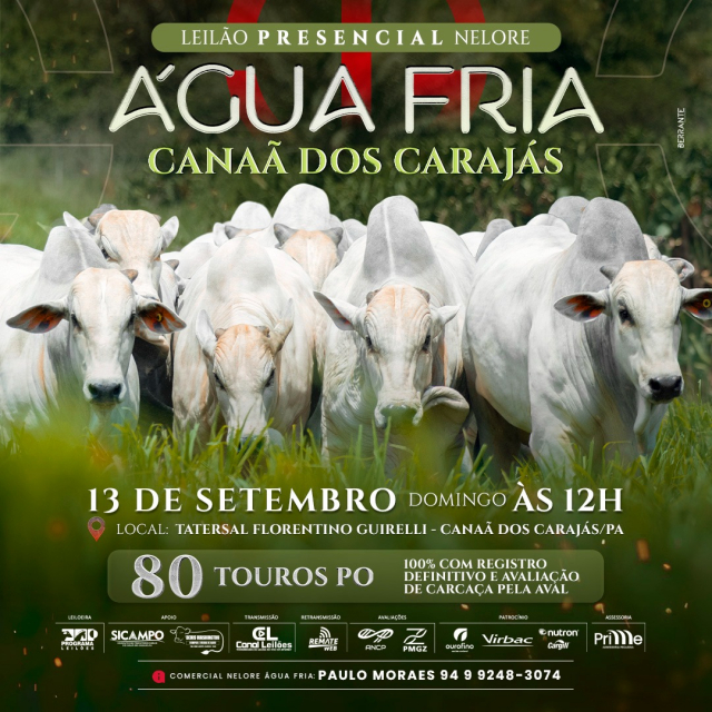 Leilão Touros Água Fria - Canaã dos Carajás