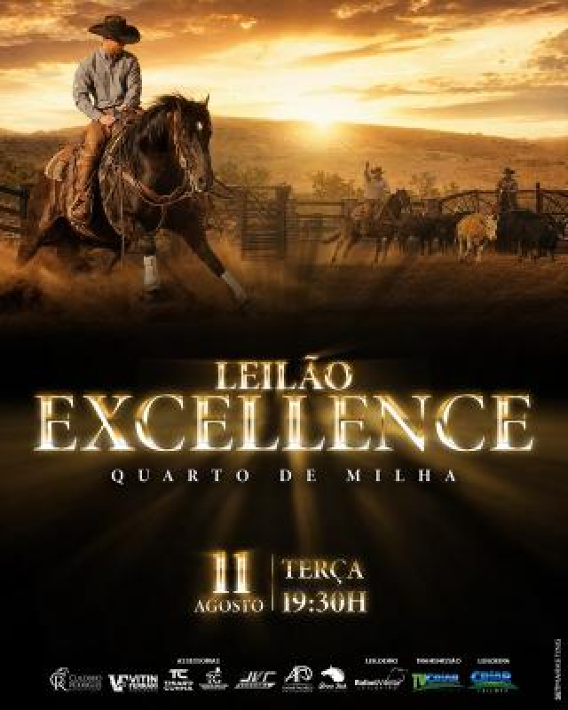 Leilão Virtual Excellence