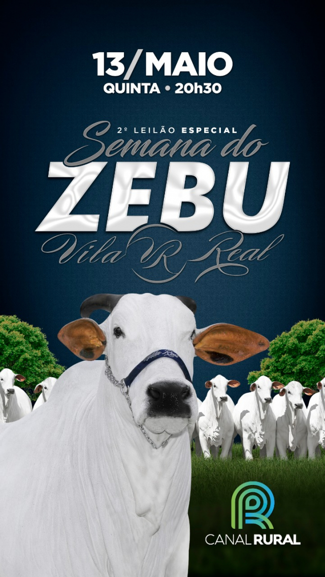 2° Leilão Especial Semana do Zebu Vila Real
