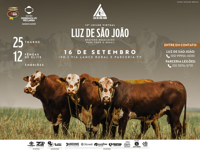 12º Leilão Virtual Luz de São João - Braford Brasileiro