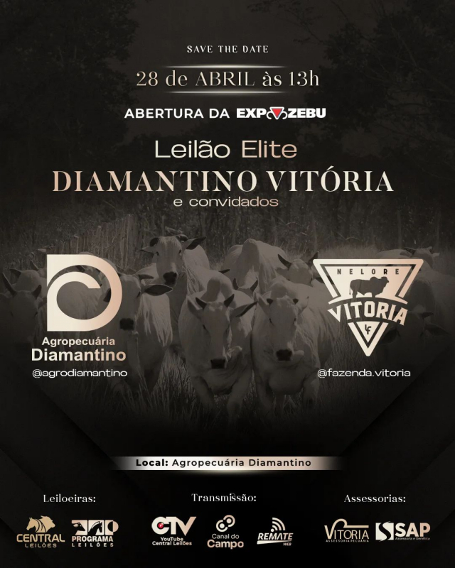 Leilão Elite Diamantino Vitória & Convidados