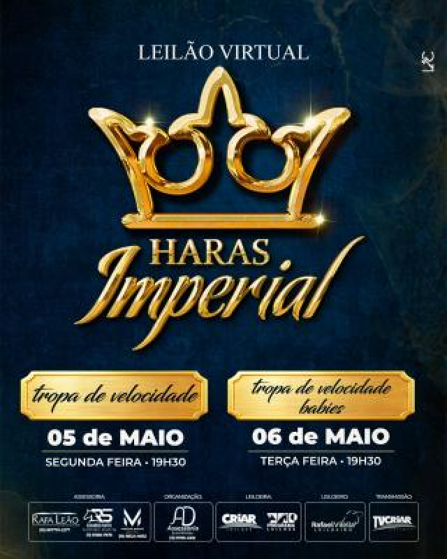 Leilão Virtual Haras Imperial - Tropa de Velocidade