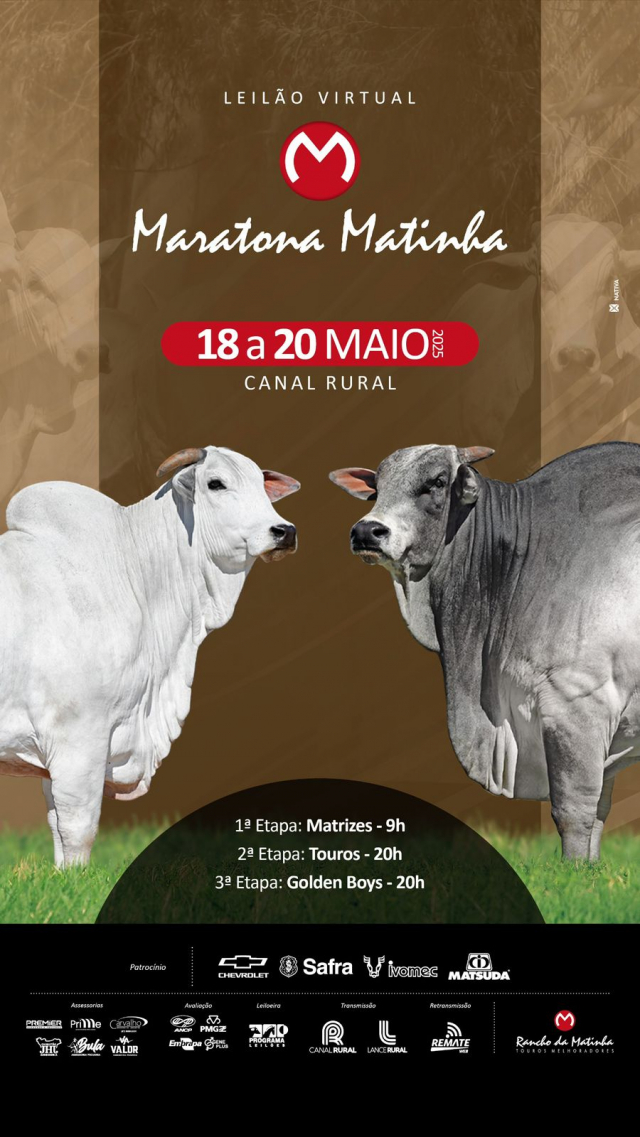 Leilão Virtual Maratona Matinha 2025 - Golden Boys