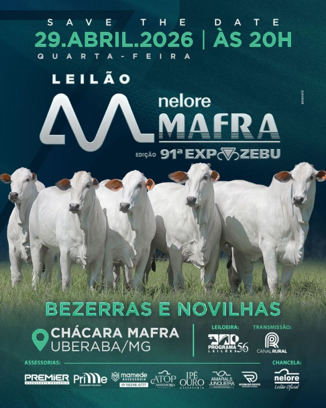 Leilão Mafra - Edição 91º Expozebu