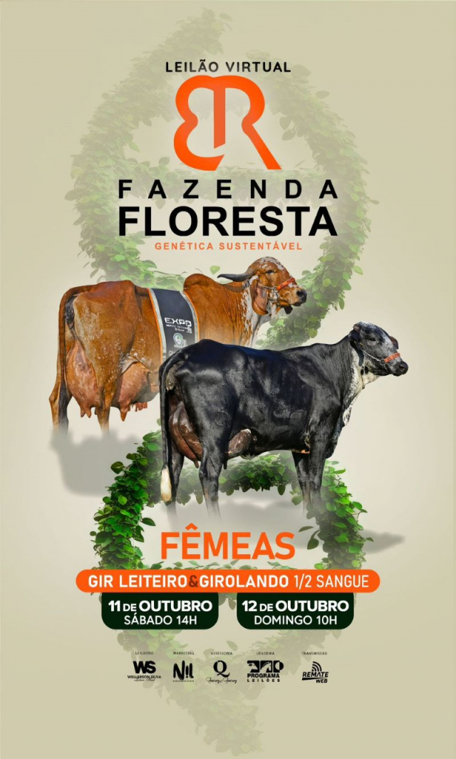 Leilão Virtual Fazenda Floresta - Girolando