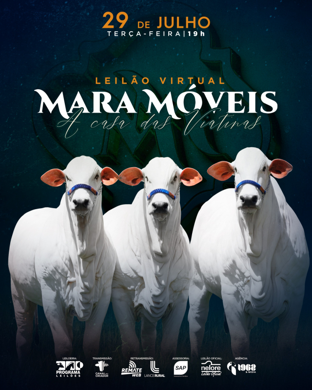 Leilão Virtual Mara Móveis - A Casa das Viatinas