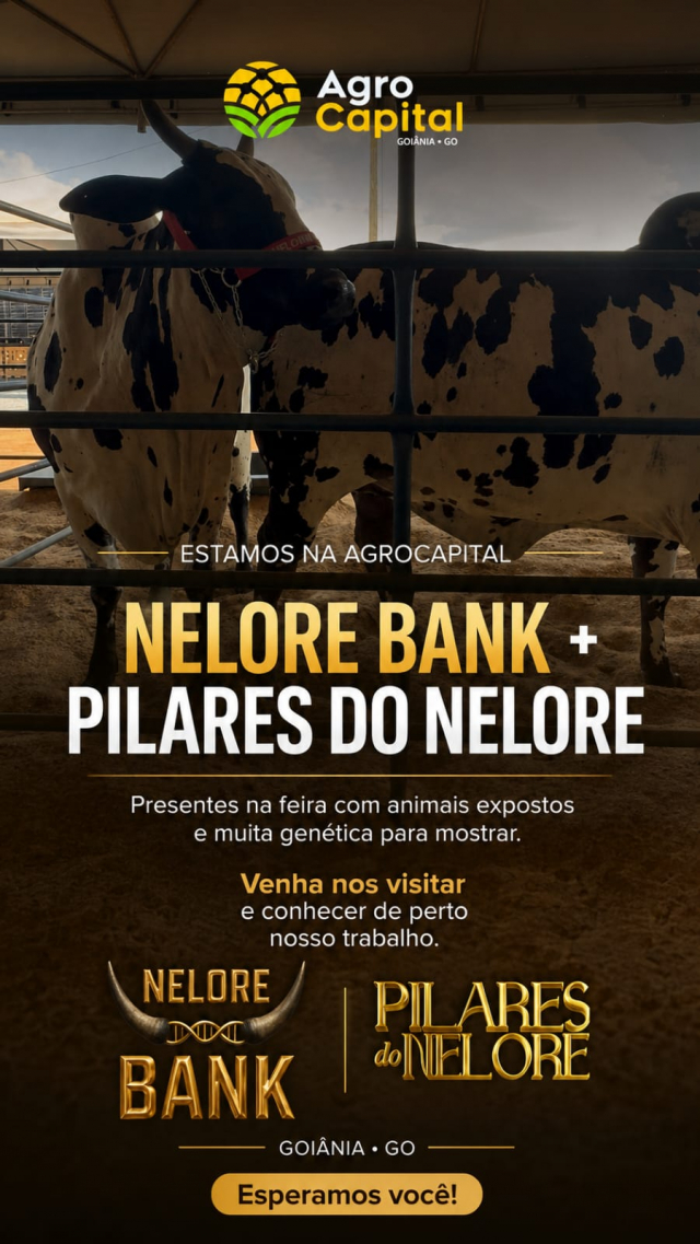 Shopping Nelore Bank