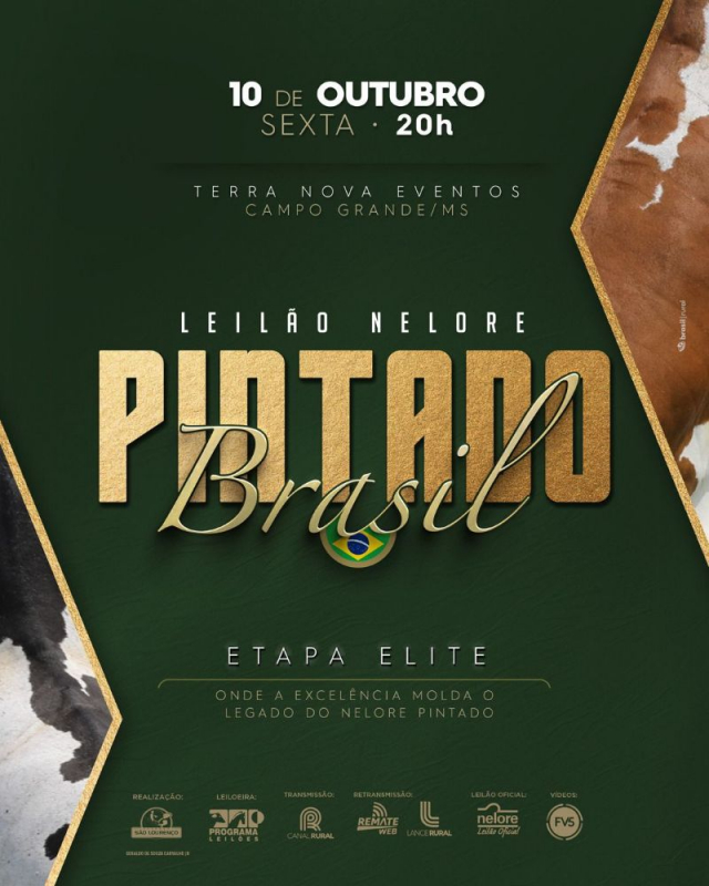 Leilão Nelore Pintado Brasil - Elite