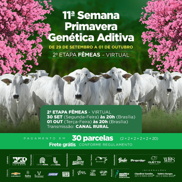 11° Semana Primavera Genética Aditiva - 2° Etapa Fêmeas