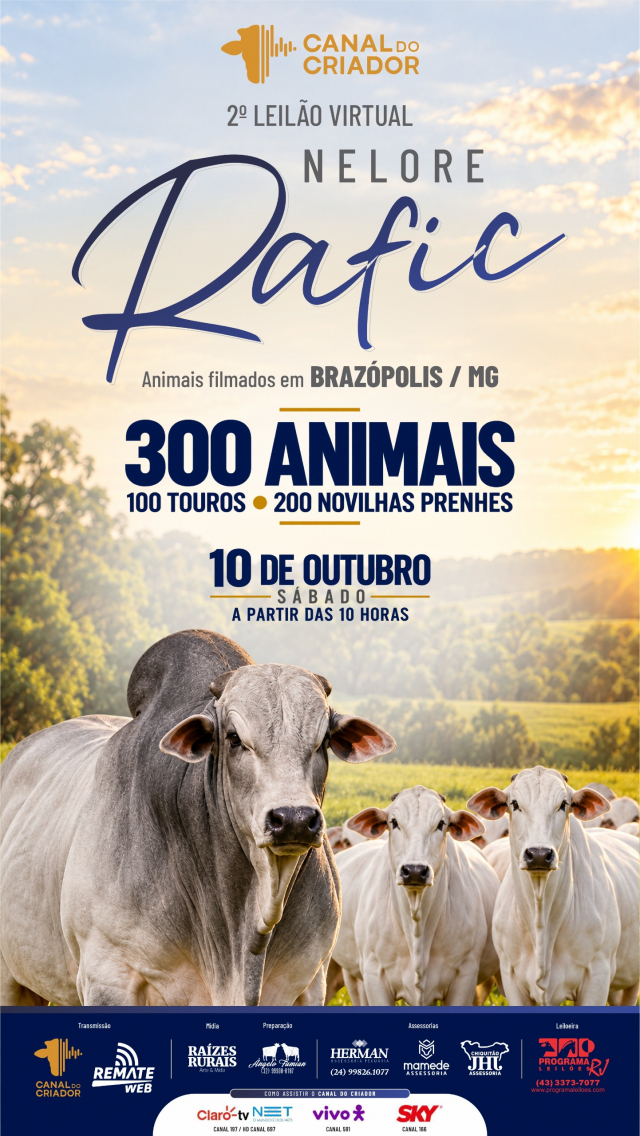 2º Leilão Virtual Nelore Rafic