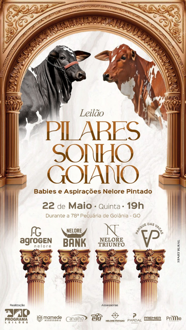 Leilão Pilares Sonho Goiano - Babies e Aspirações Nelore Pintado