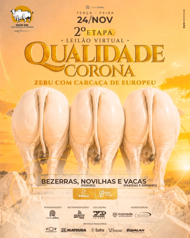 2º Etapa Leilão Virtual Qualidade Corona
