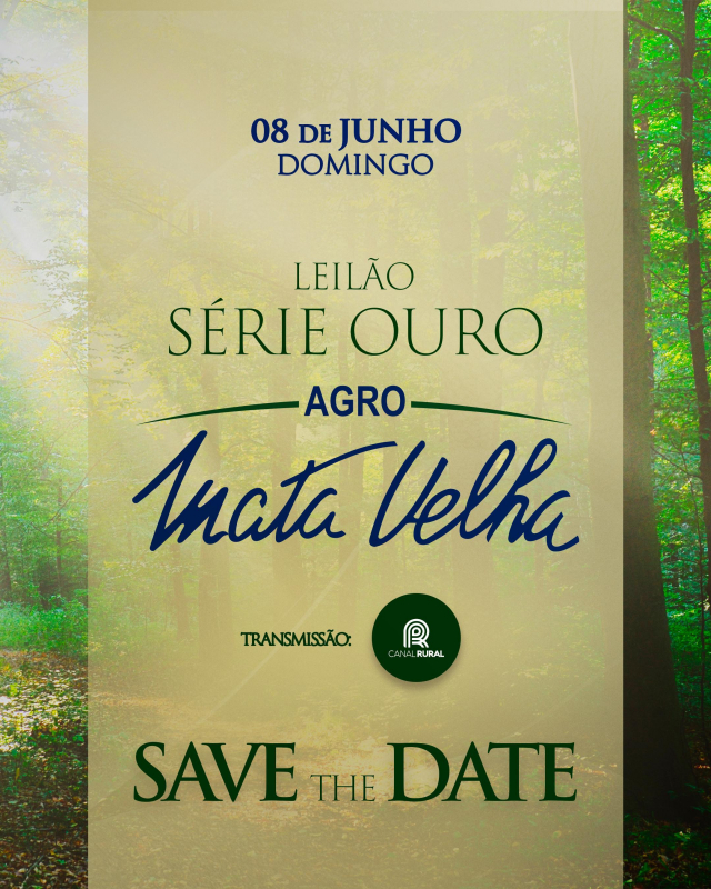 Leilão Virtual Série Ouro - Agro Mata Velha