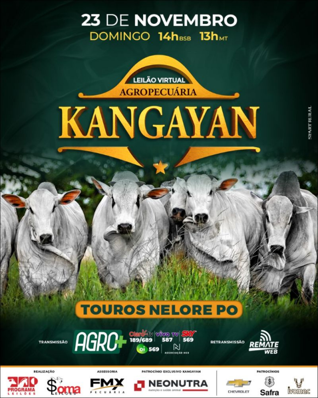 Leilão Virtual Agropecuária Kangayan