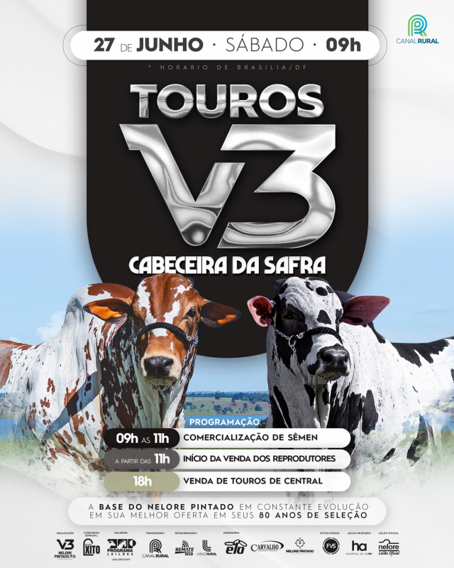 Leilão Touros V3 Cabeceira da Safra