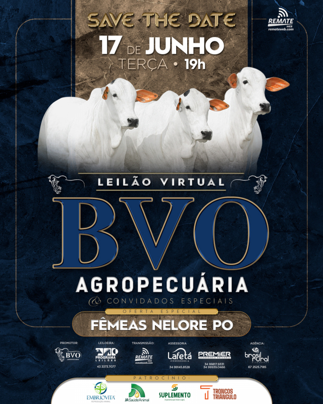 Leilão Virtual Nelore BVO Agropecuária e Convidados Especiais