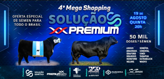 4° Mega Shopping Solução Premium