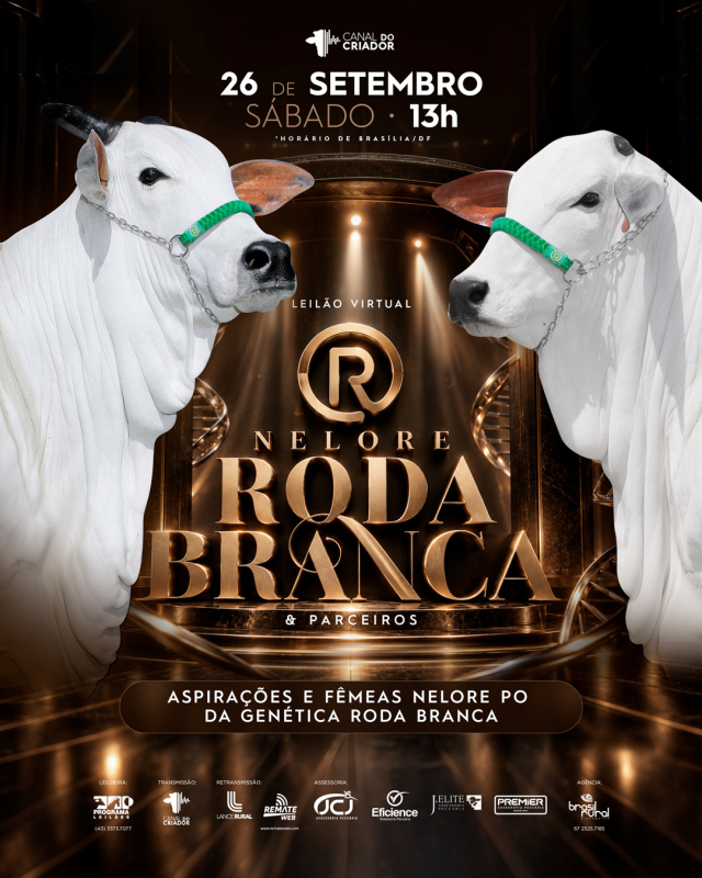 Leilão Virtual Nelore Roda Branca & Parceiros