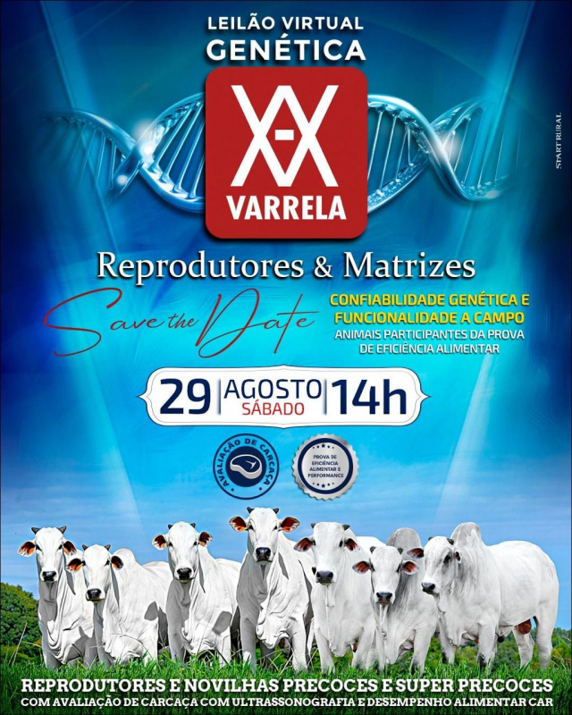 Leilão Virtual Genética Varrela - Reprodutores e Matrizes