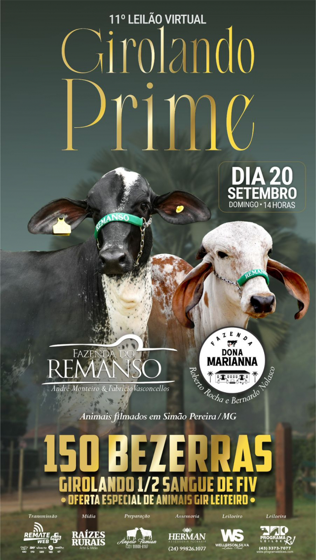 11º Leilão Virtual Girolando Prime