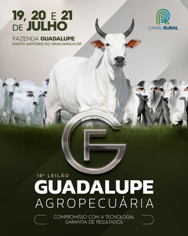 18° Leilão Guadalupe Agropecuária - Aspirações, Doadoras e Bezerras
