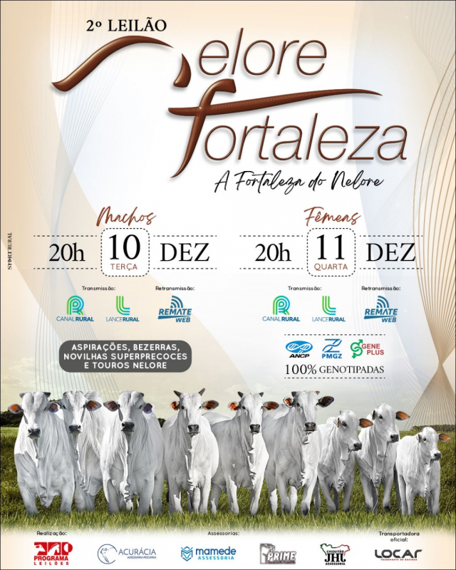 2° Leilão Virtual Nelore Fortaleza - Fêmeas