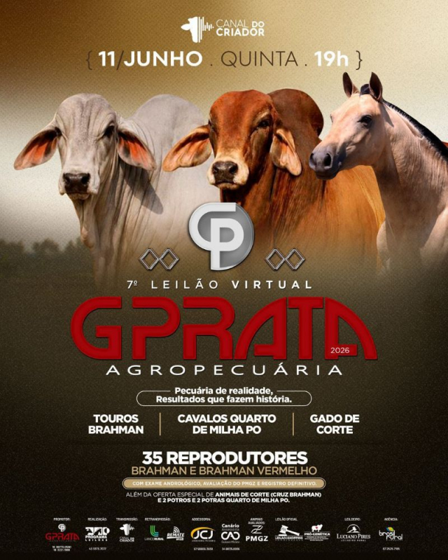 7º Leilão Virtual G Prata Agropecuária - Touros, Quarto de Milha e Gado de Corte