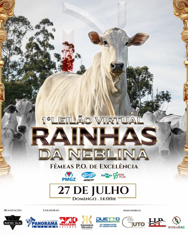 1º Leilão Virtual Rainhas da Neblina - Fêmeas PO