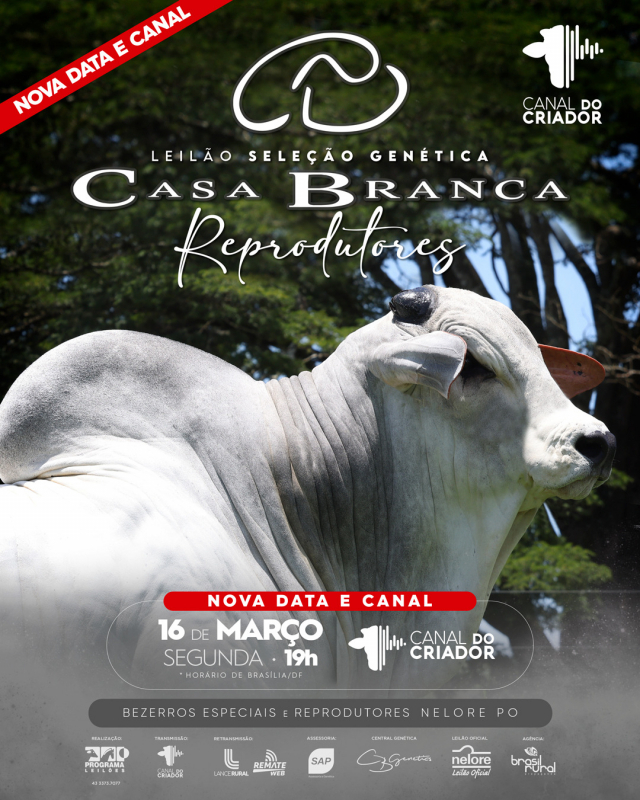 Leilão Virtual Seleção Genética Casa Branca - Reprodutores