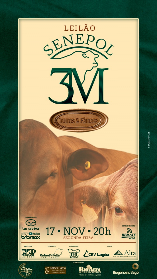 Leilão Virtual Senepol 3M - Touros e Fêmeas