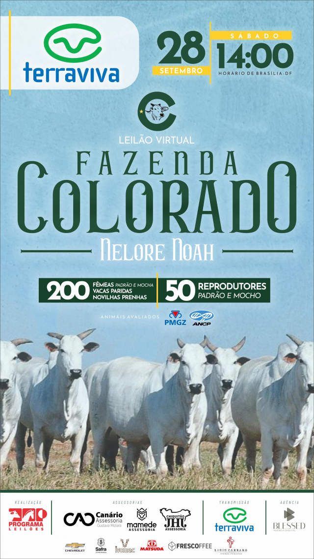 Leilão Fazenda Colorado - Nelore Noah